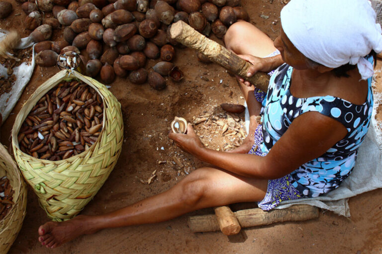 Comissão do Senado aprova ofício das quebradeiras de coco babaçu como manifestação cultural