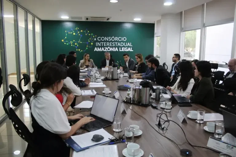 Estados da Amazônia Legal se articulam para acelerar regularização ambiental na região