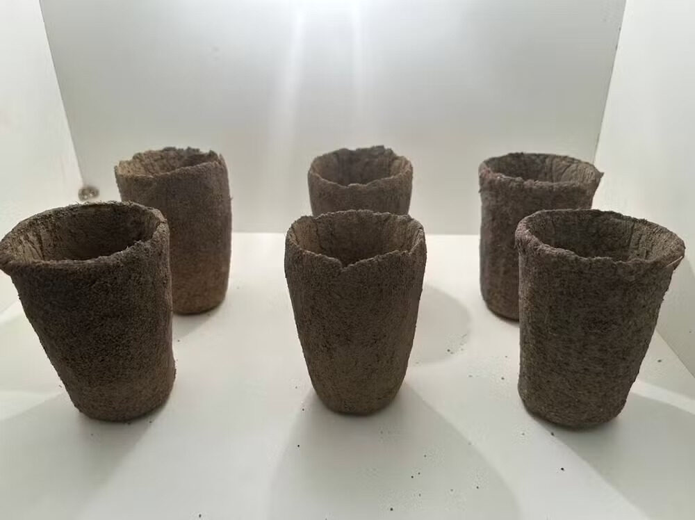 tubete orgânico criado por estudantes de macapá