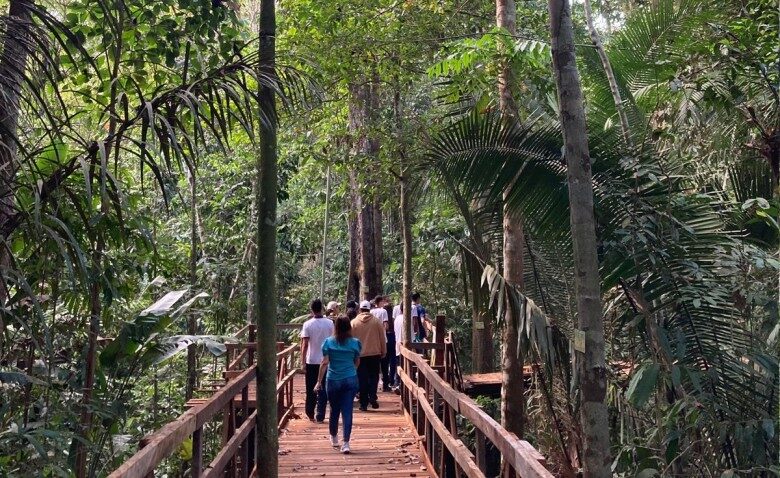 Imagem colorida mostra Parque Natural Raimundo Paraguassu de Oliveira em Porto Velho e ponte com pessoas andando em meio a floresta
