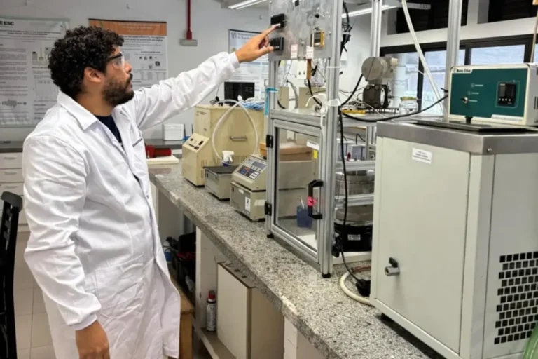 Pesquisa propõe biorrefinaria para ampliar o potencial econômico de espécies amazônicas