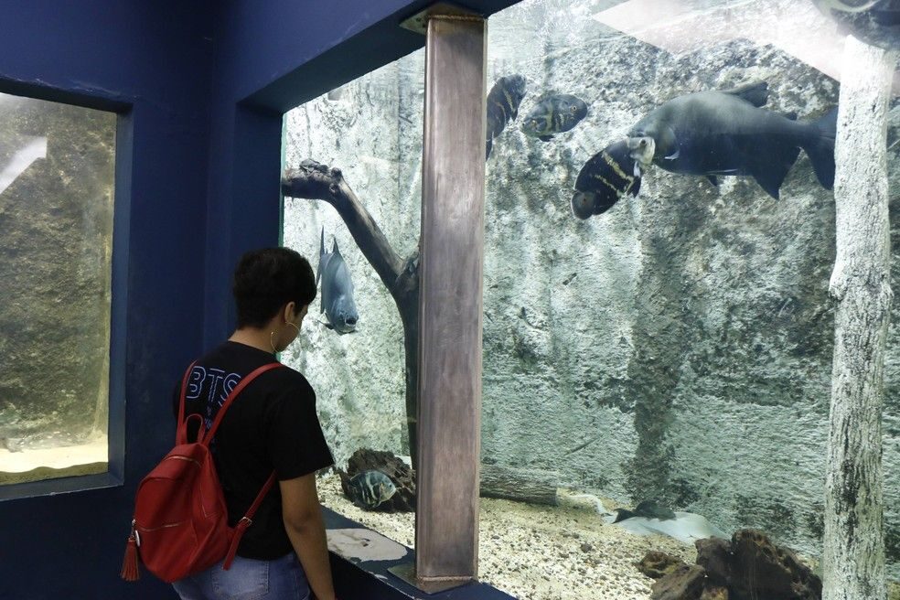 Aquário do Museu Goeldi