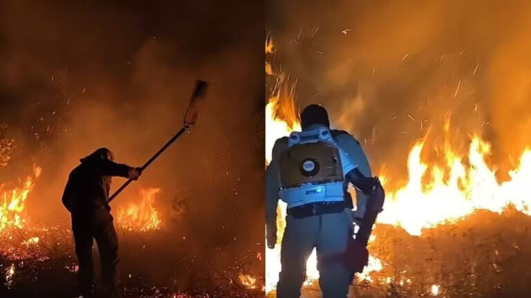 Incêndios florestais aumentam 161% no Amapá em uma semana, diz Ibama