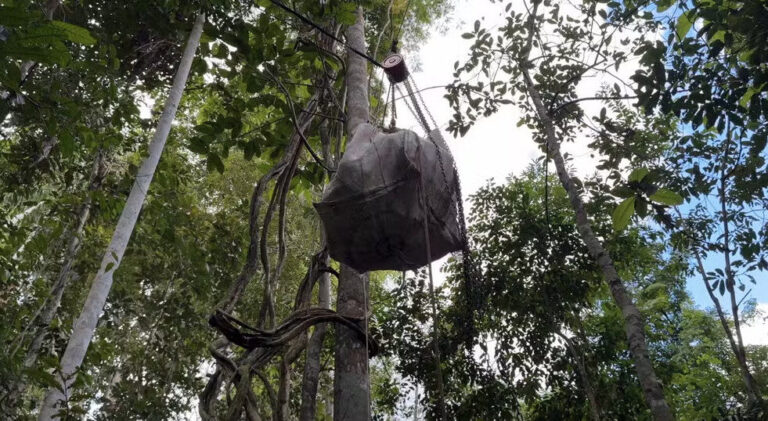 Transporte de produtos em áreas isoladas ganha agilidade com cabos entre árvores na floresta