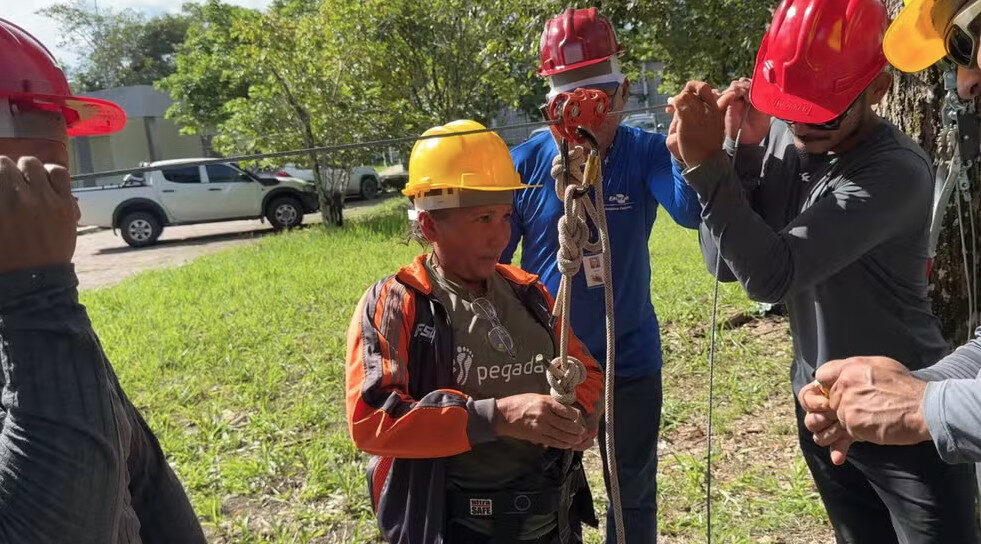 com cabos entre árvores