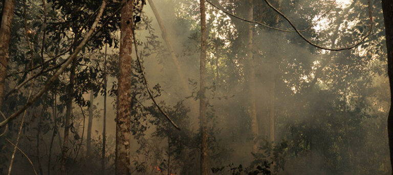 Agricultor que passou três dias perdido em floresta no Amazonas relata experiência sobrenatural
