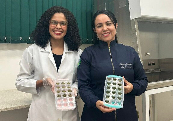 Goma de mascar fitoterápica é desenvolvida para o alívio de sintomas da menopausa