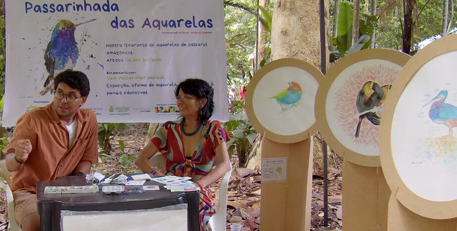 Artista usa aquarela para registrar aves que observa na Amazônia