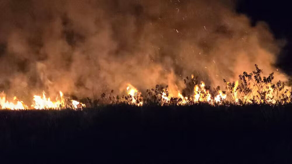incêndios florestais no amapá