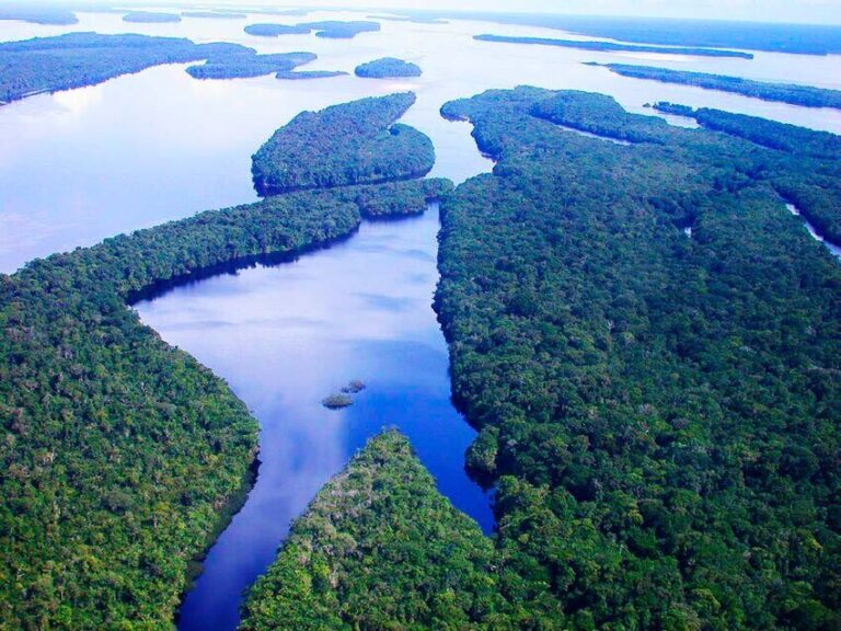 Maior sistema de igapó do planeta sofre desequilíbrio decorrente de eventos climáticos extremos, revelam pesquisadores