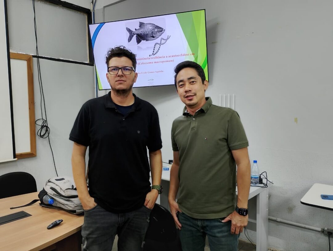 Pesquisas genéticas buscam melhorar criação de tambaquis