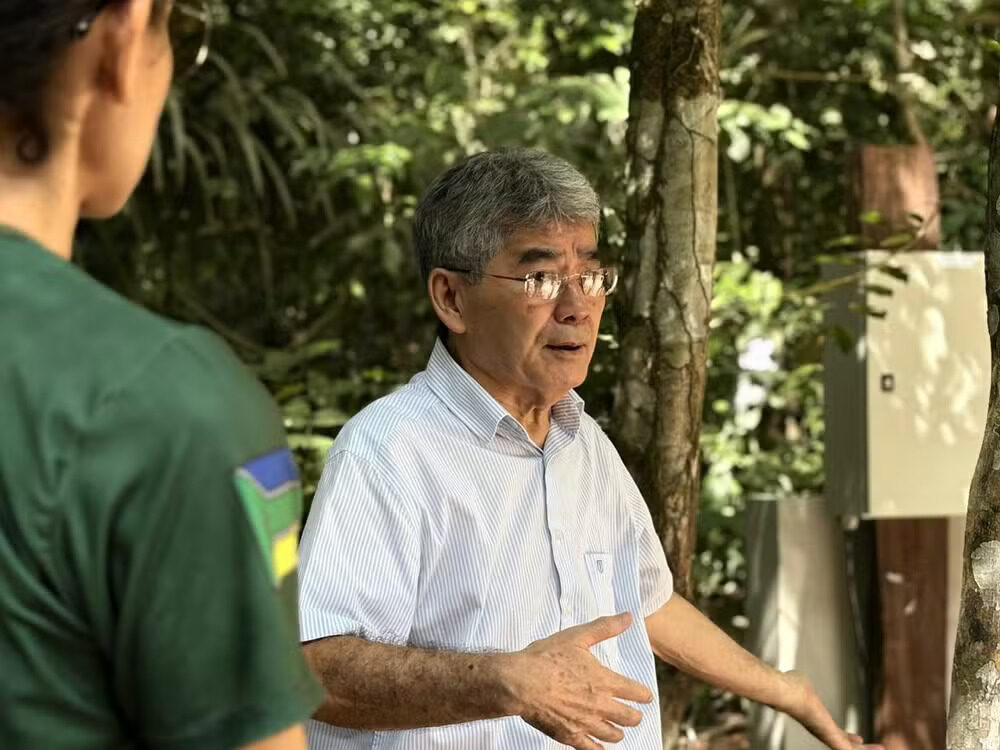 Volume de água liberado por árvores na atmosfera é medido no Amapá
