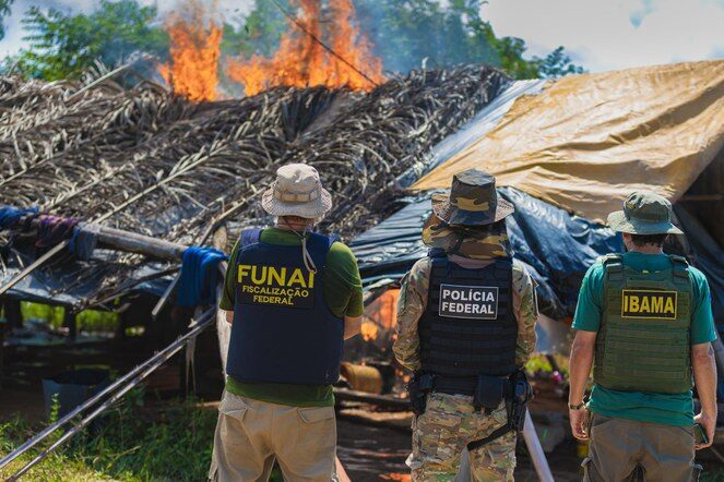 ações de desintrusão em terras indígenas promovidas pelo governo e parceiros