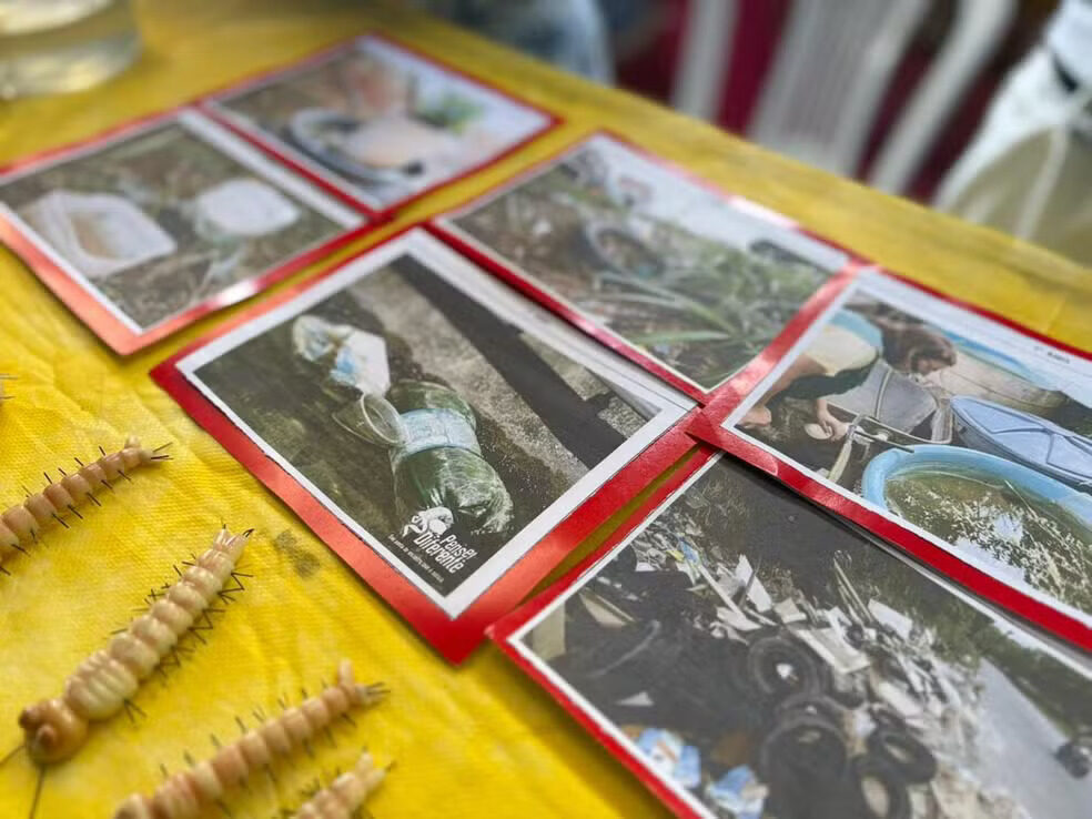 Dengue afeta mais negros e periféricos no Amapá, aponta pesquisa