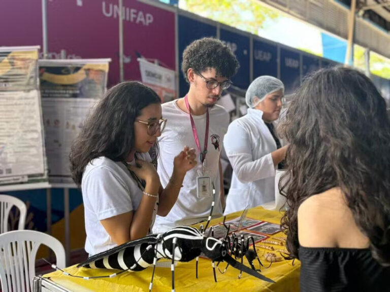 Dengue afeta mais negros e periféricos no Amapá, aponta pesquisa