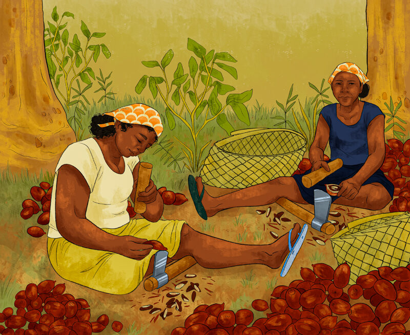 Quebradeiras de Coco Babaçu 