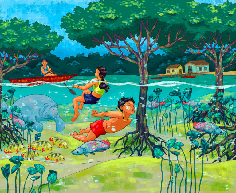 COP30: ferramenta digital busca garantir direito territorial dos povos tradicionais no Brasil, afirma MPF