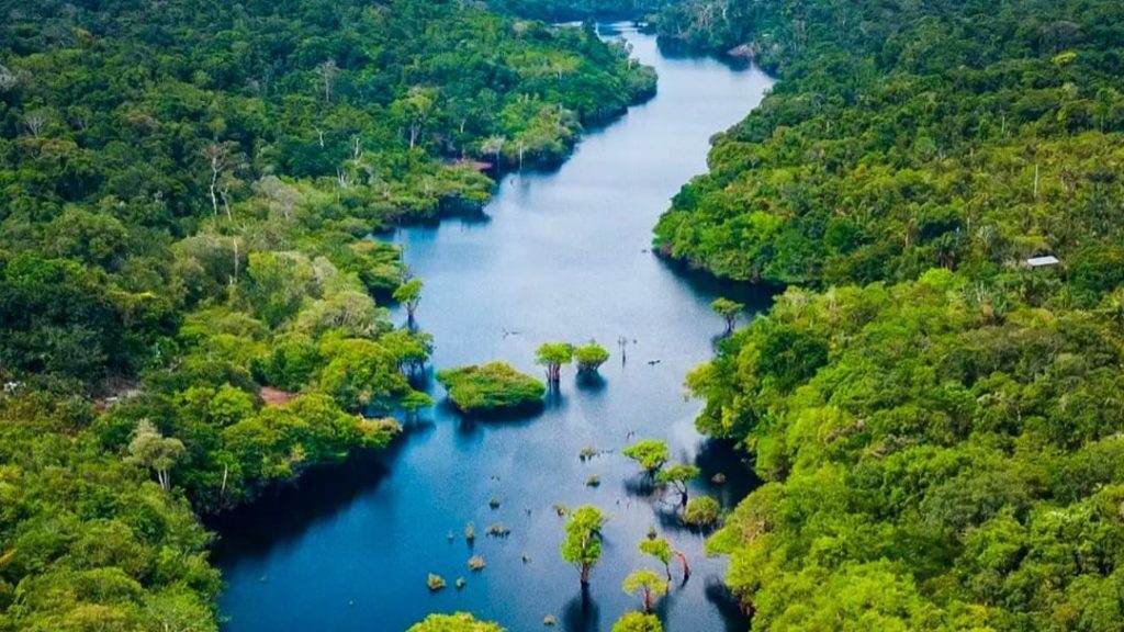 Pacto em defesa do Código Florestal une conservação e produção agrícola