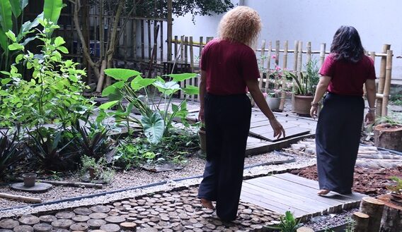 Trilha Sensorial de madeiras amazônicas: visitante pode andar descalço em nova atração do Bosque da Ciência