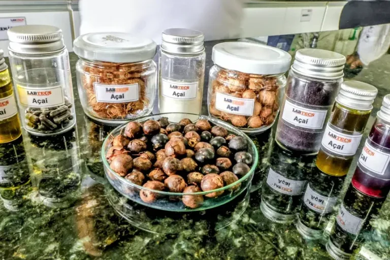 Azeite de açaí é desenvolvido com tecnologia limpa no Pará