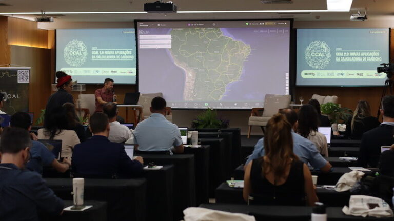 Calculadora fornece dados de estoques de carbono presentes na vegetação