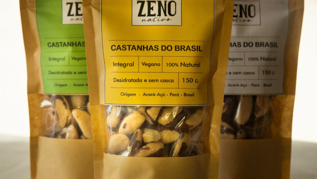 castanha da amazônia