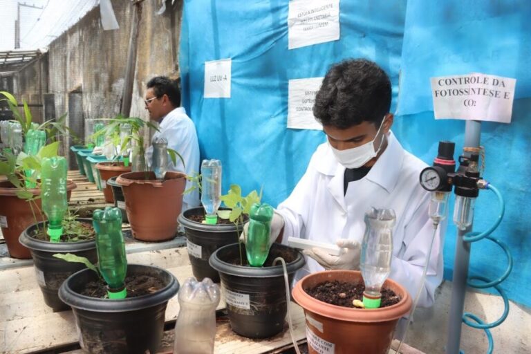 Nova bactéria que pode gerar impactos na segurança alimentar é descoberta por estudantes no Maranhão