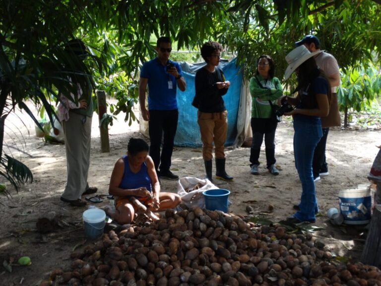 Expedição científica reúne pesquisadores brasileiros e russos no Bico do Papagaio para estudar biodiversidade e mudanças climáticas