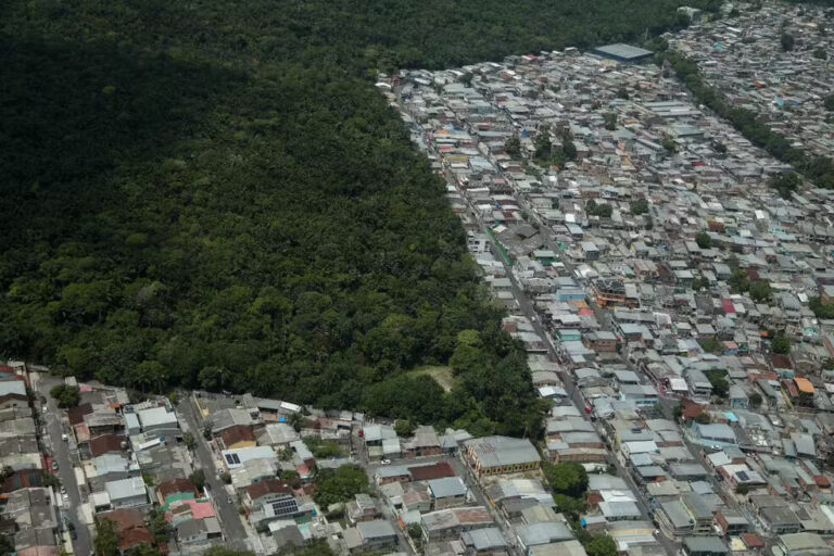 Entre o verde da floresta que resiste e o cinza da cidade que cresce: o crescimento de Manaus