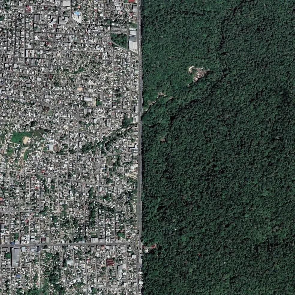 Entre o verde da floresta que resiste e o cinza da cidade que cresce: o crescimento de Manaus