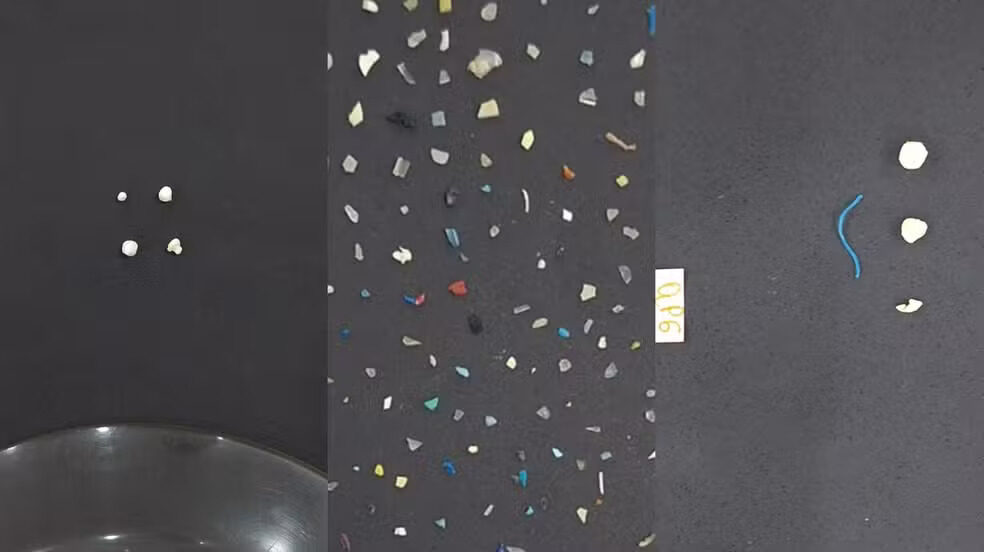 microplásticos praia goiabal calçoene amapá