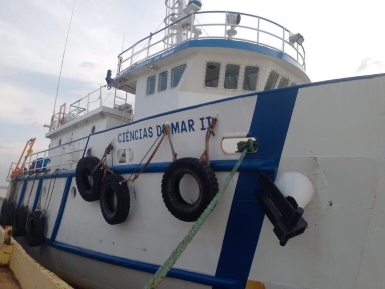Pesquisa no Pará busca mapear biodiversidade do mar amazônico