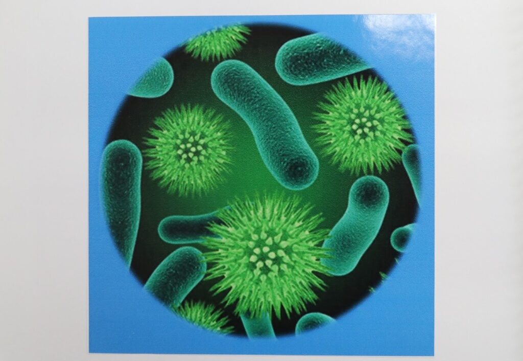 Nova bactéria que pode gerar impactos na segurança alimentar é descoberta por estudantes no Maranhão