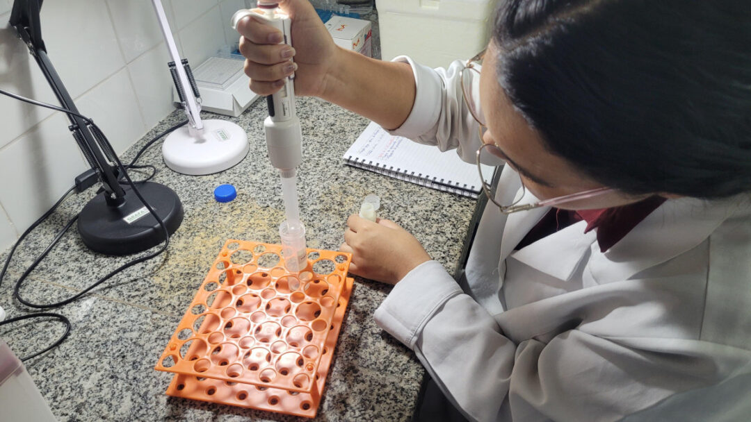 Pesquisa identifica potencial de resíduos de frutos oleaginosos amazônicos