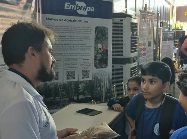 Restos de pescado são usado na criação de ração alternativa para reduzir impactos ambientais no Amapá