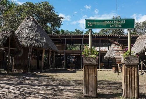 Saiba onde fica a reserva natural tingana, que recebe apenas 30 visitantes por dia na Amazônia