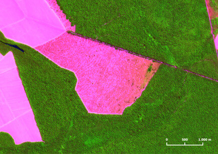 Estudo do Imazon mostra que apenas 10 municípios concentram quase 30% do desmatamento na Amazônia