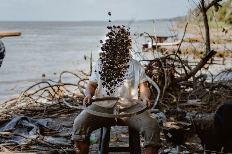 Sambaquis revelam transformações na biodiversidade e na alimentação dos povos da Amazônia