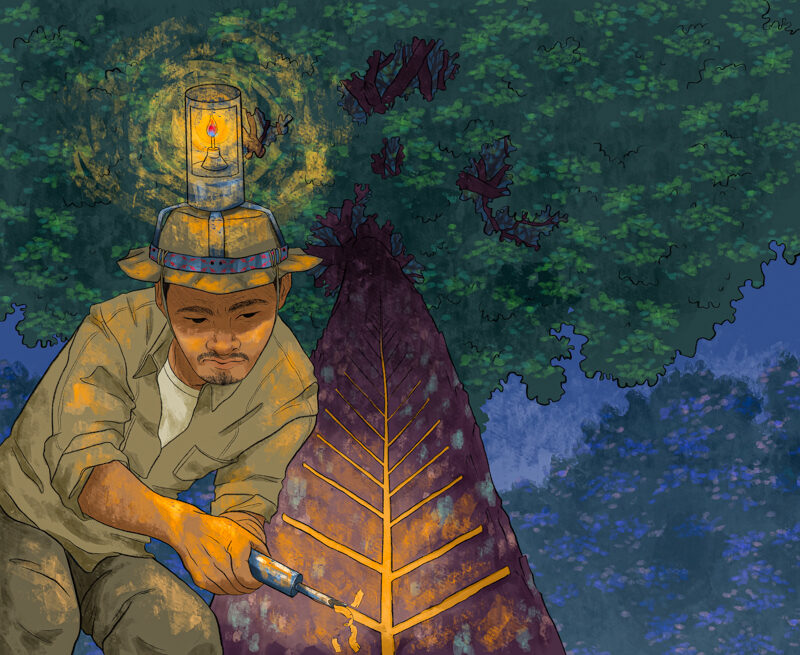 seringueiros fazem parte de povos tradicionais