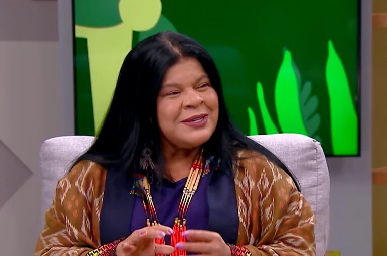 Demarcação de terras indígenas é medida eficaz para enfrentar crise climática, defende Sonia Guajajara