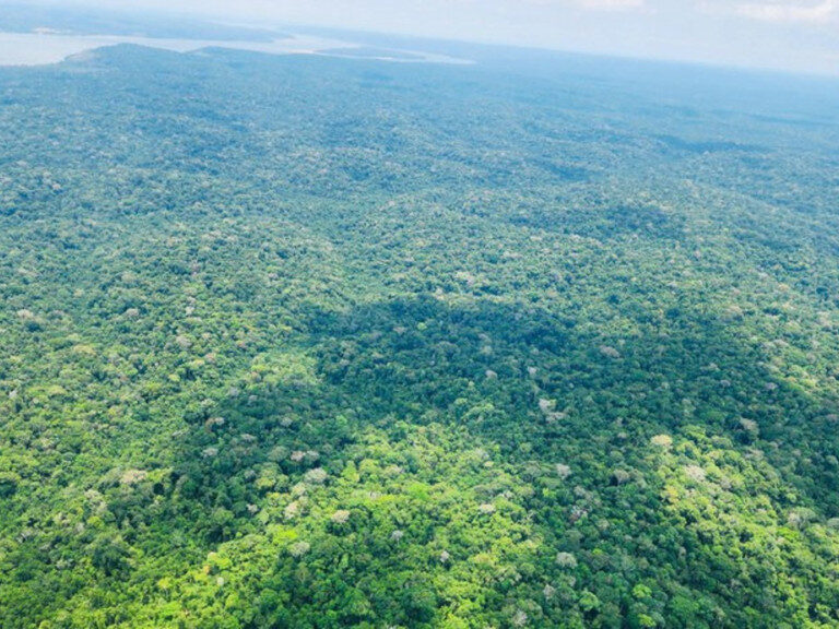 Tecnologia do Censipam apoia monitoramento de Terras Indígenas na Amazônia Legal