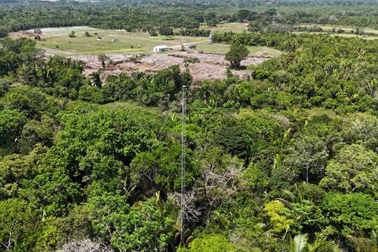 Torre micrometeorológica