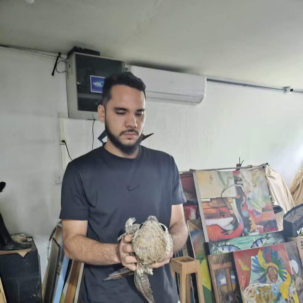 Vídeo mostra urutau, a 'ave fantasma', sendo solta na natureza em Porto Velho