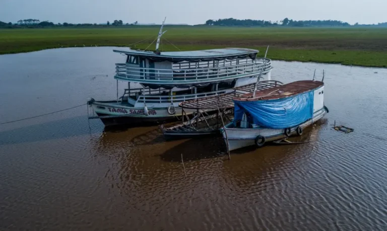 Região amazônica registra níveis próximos da normalidade após dois anos seguidos de seca severa 