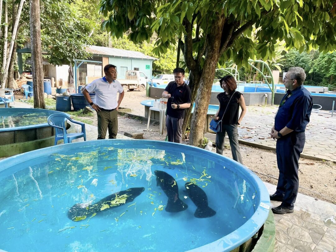 visita da Embaixada da Tailândia em manaus para estudos sobre a Amazônia