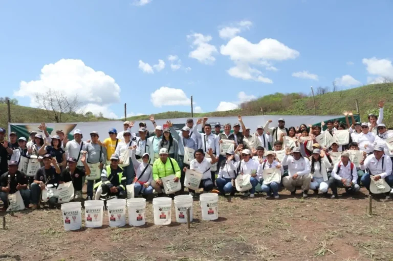 San Martín lança campanha para restaurar florestas amazônicas afetadas por incêndios no Peru