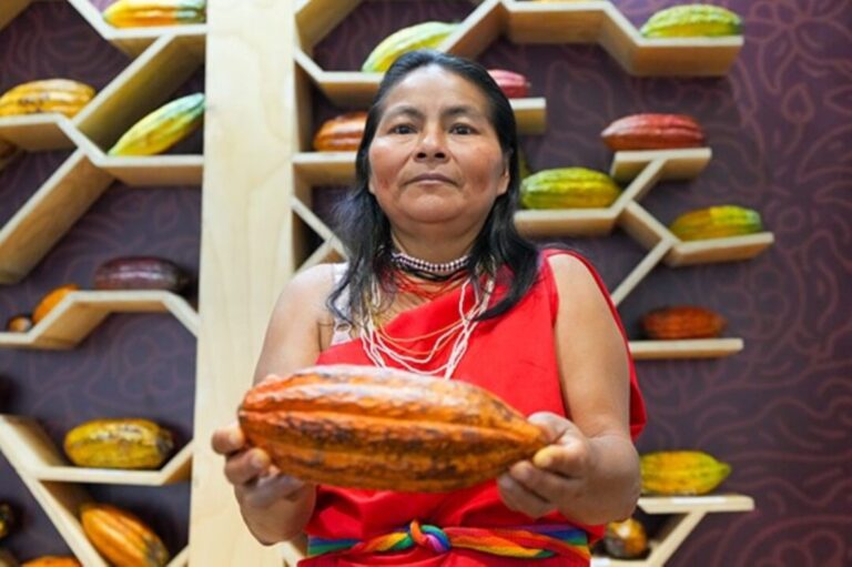 Mais de 72% do material genético do cacau no mundo é conservado no Peru