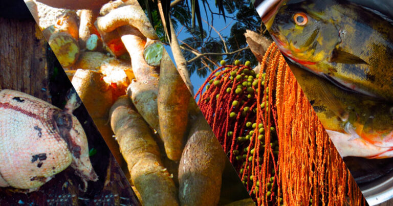 Alimentação ‘industrializada’ ameaça saúde de ribeirinhos na Amazônia, aponta pesquisa