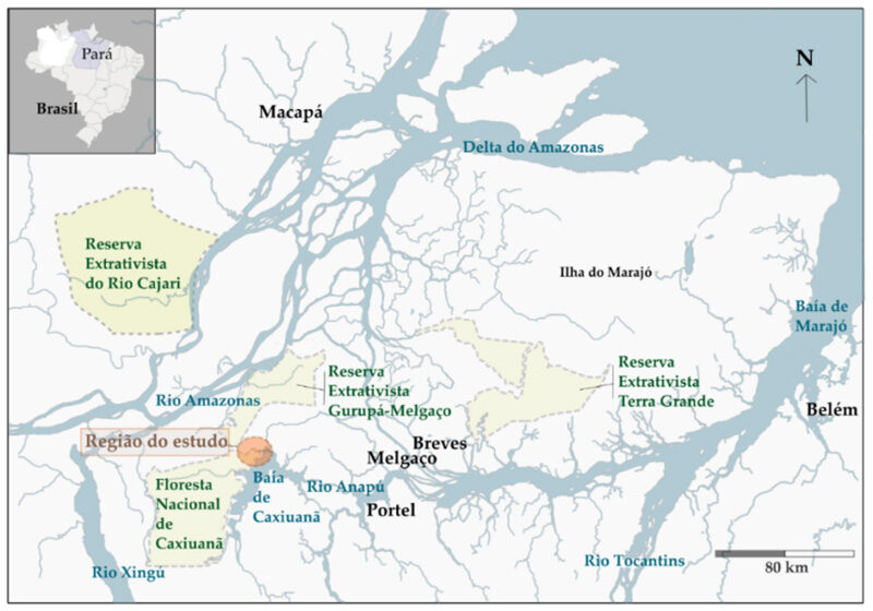 Alimentação 'industrializada' ameaça saúde de ribeirinhos na Amazônia, aponta pesquisa