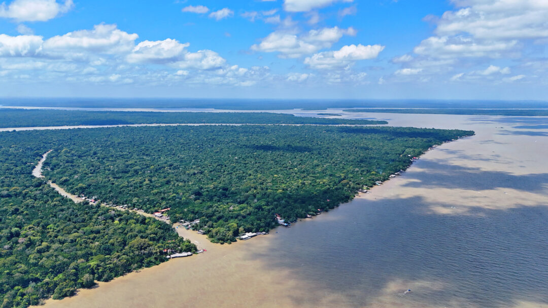 Visão panorâmica do Rio Guamá, que recebe a barqueata no dia 12 de novembro
Visão panorâmica do Rio Guamá, que recebe a barqueata no dia 12 de novembro

